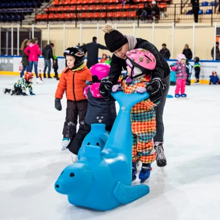 Večnamenska Ledena dvorana